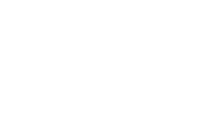 Multinsa